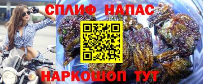 амф Кимры