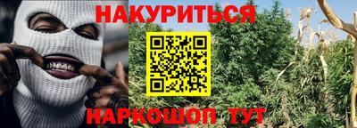 амф Кимры