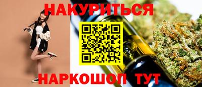 мдпв Кингисепп