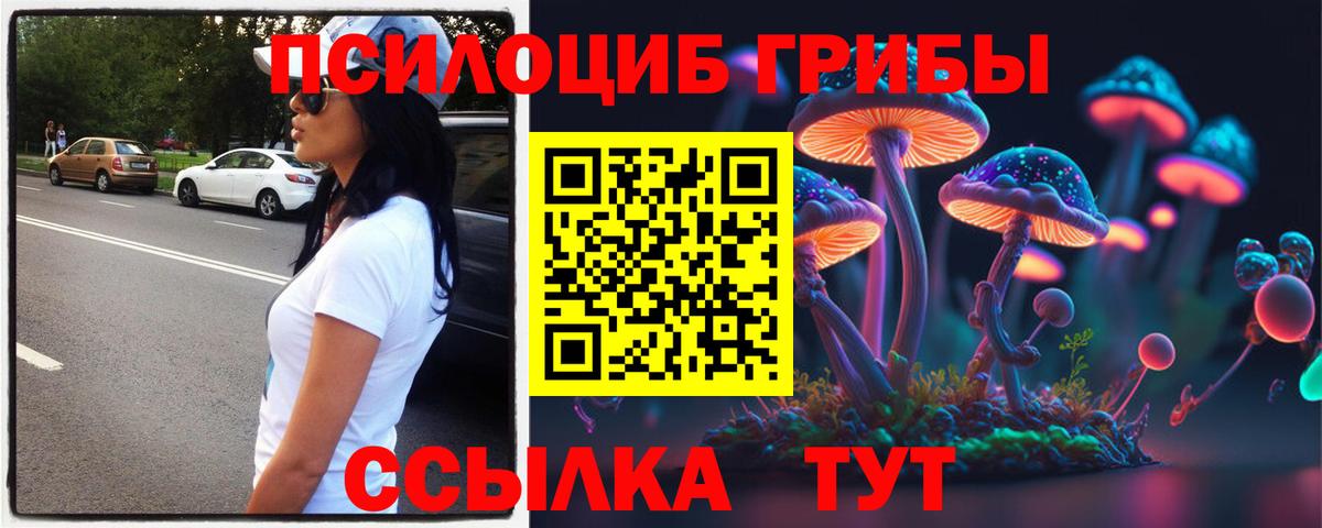 Псилоцибиновые грибы мухоморы Ижевск